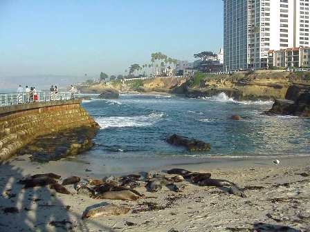 Children's Pool with seals